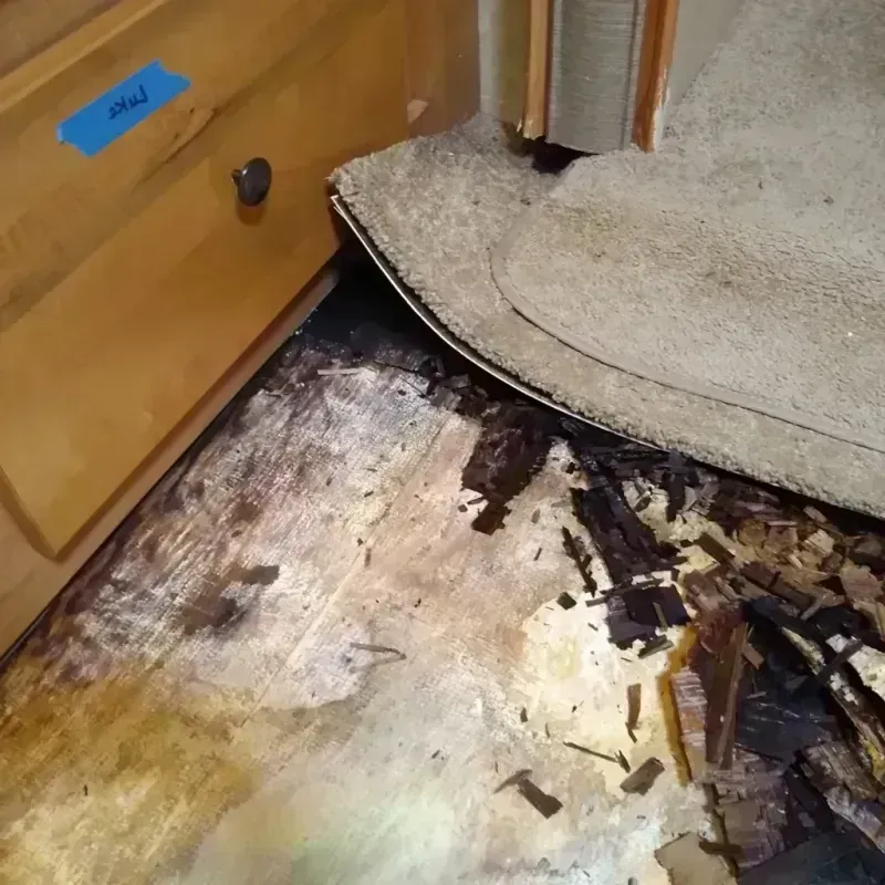 Wood Floor Water Damage in Brown City, MI